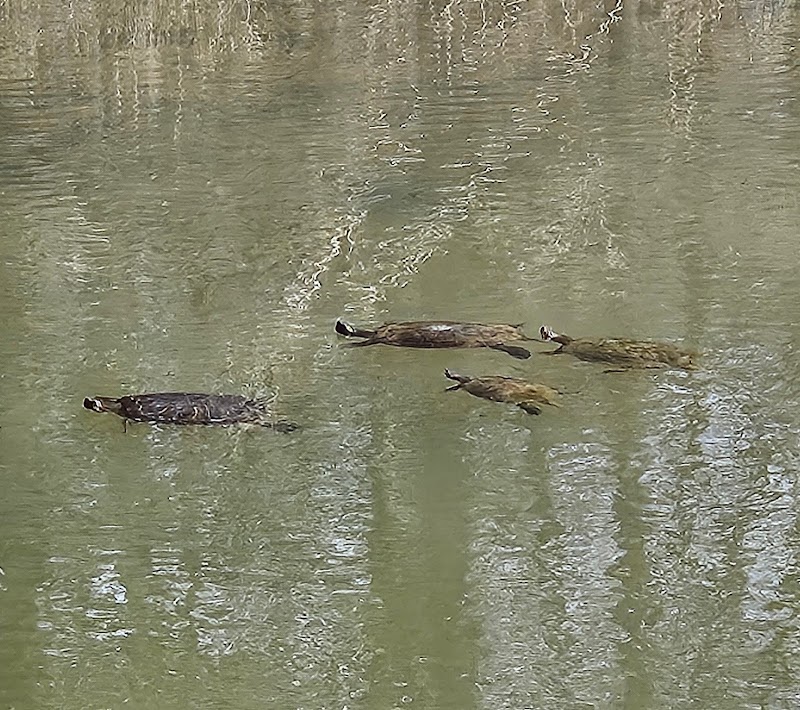 Cosca Regional Park Play Area - Clinton, MD