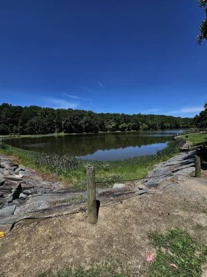 Cosca Regional Park Play Area