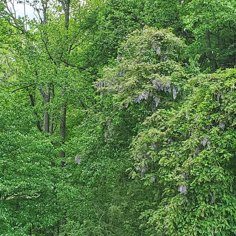Cosca Regional Park Play Area - Clinton, MD