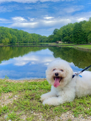 Louise F Cosca Regional Park