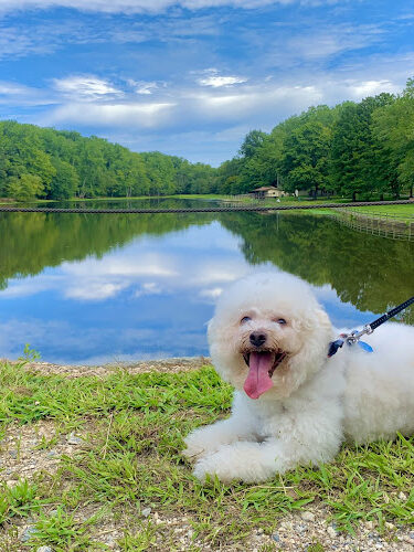 Louise F Cosca Regional Park