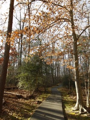 Tanglewood Community Park