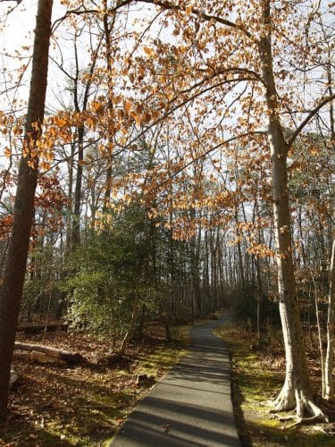 Tanglewood Community Park