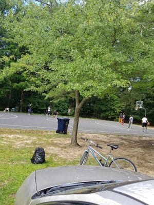 Tanglewood Community Park