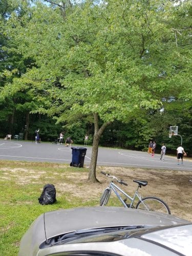 Tanglewood Community Park