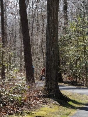 Tanglewood Community Park