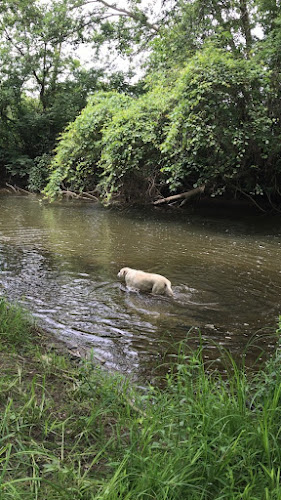 Tate Park