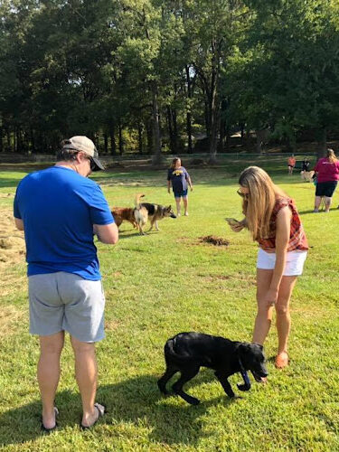 Clinton Bark Park - Clinton Parks and Recreation