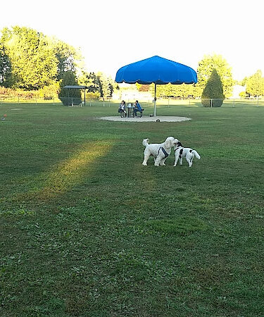 Civic Center Park-Dog Park