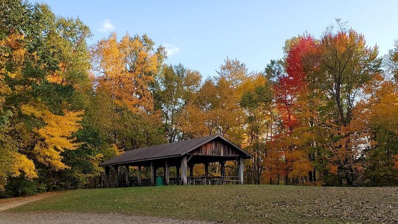 Buell Lake County Park - Clio, MI