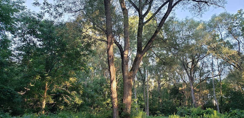 Clio Bike Trail Parking - Clio, MI