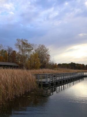 Buell Lake County Park