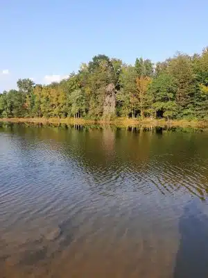 Clover Community Park