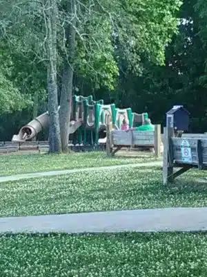 Clover Community Park