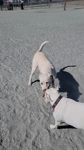 Coalinga Dog Park - Coalinga, CA