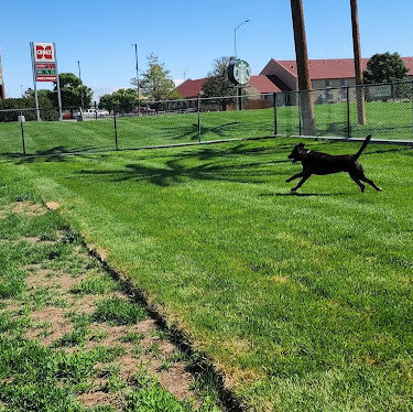 Oasis Travel Center Dog Park