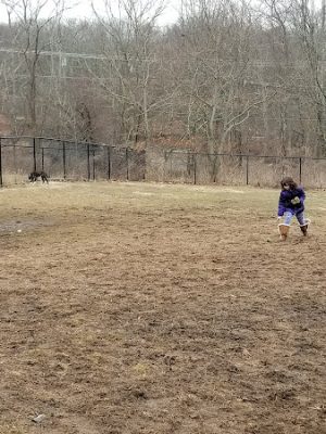 Colchester Dog Park