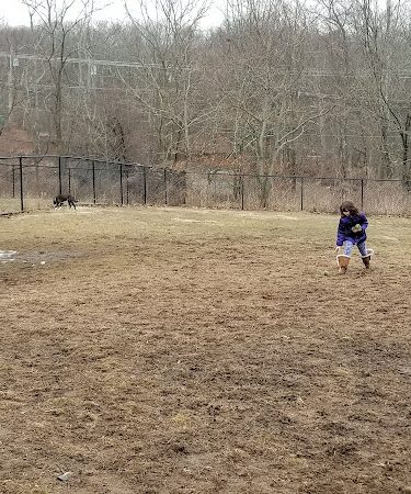 Colchester Dog Park