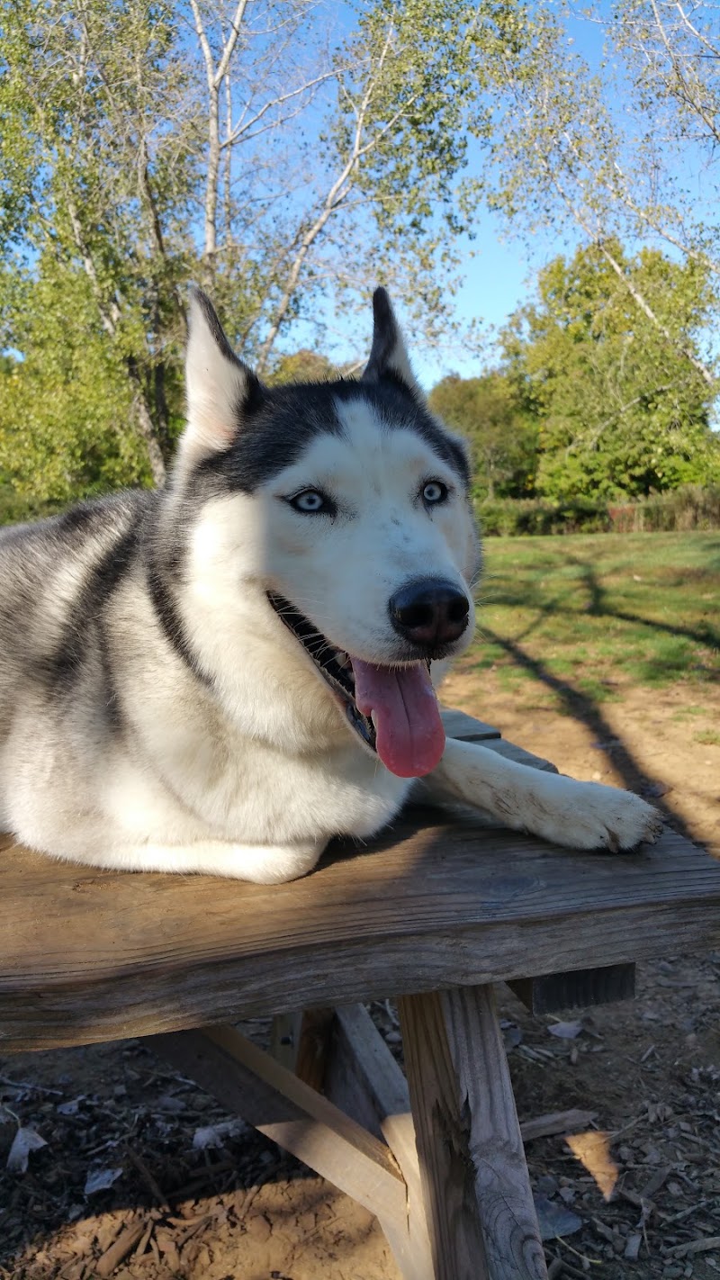 Colchester Dog Park - Colchester, CT