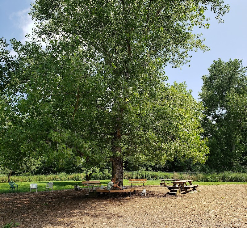 Colchester Dog Park - Colchester, CT