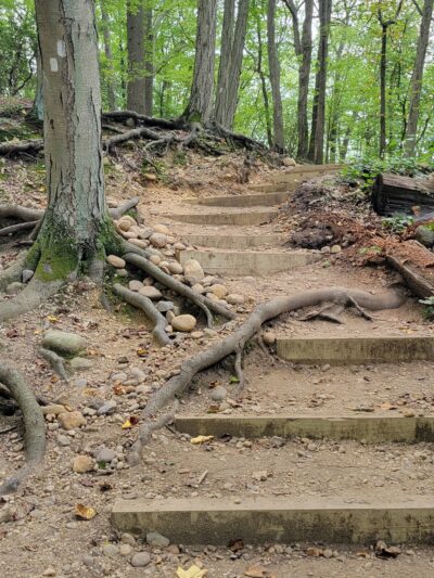 Cold Spring Harbor State Park - Cold Spring Harbor, NY