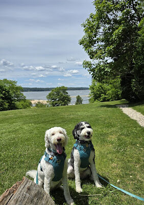 Cold Spring Harbor State Park
