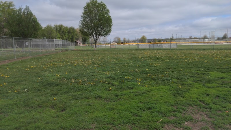 Coldwater dog park - Coldwater, MI