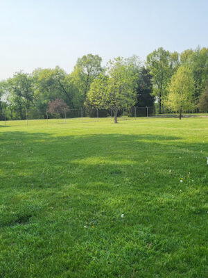 Coldwater dog park