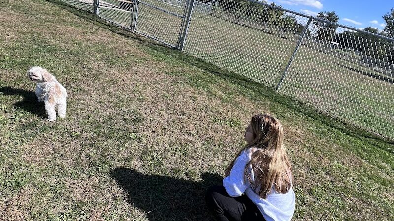 Public dog park - Coldwater,