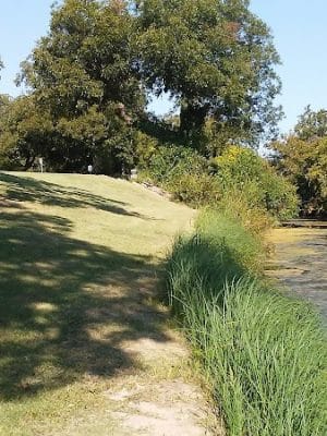 Coleman City Park