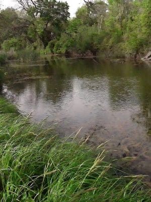 Coleman City Park