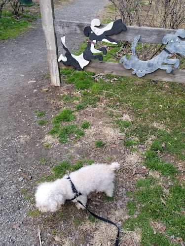South Fulton Dog Park: Canine Crossing