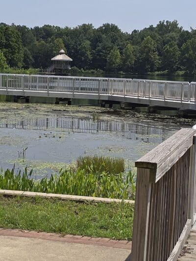 Lake Artemesia Natural Area - College Park, MD