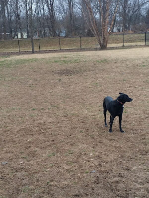 College Park Dog Park (Members Only)