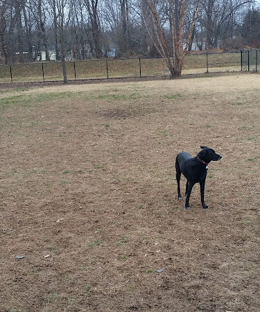 College Park Dog Park (Members Only)