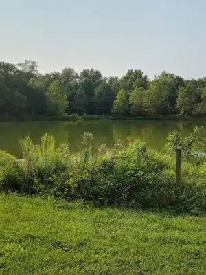 Lake Artemesia Natural Area