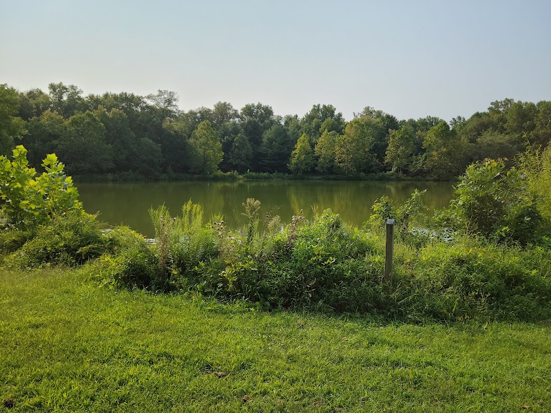 Lake Artemesia Natural Area - College Park, MD