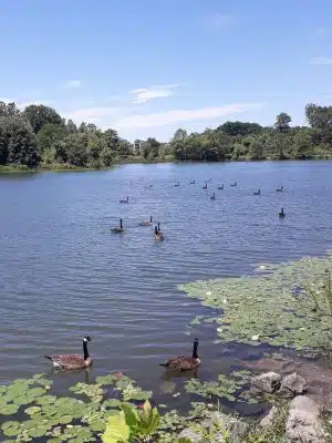 Lake Artemesia Natural Area