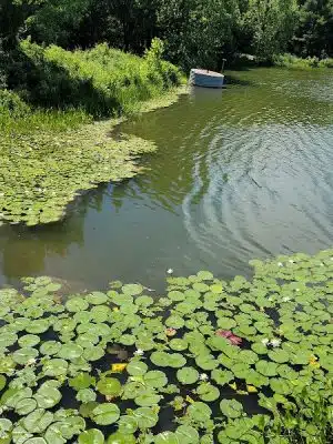 Lake Artemesia Natural Area
