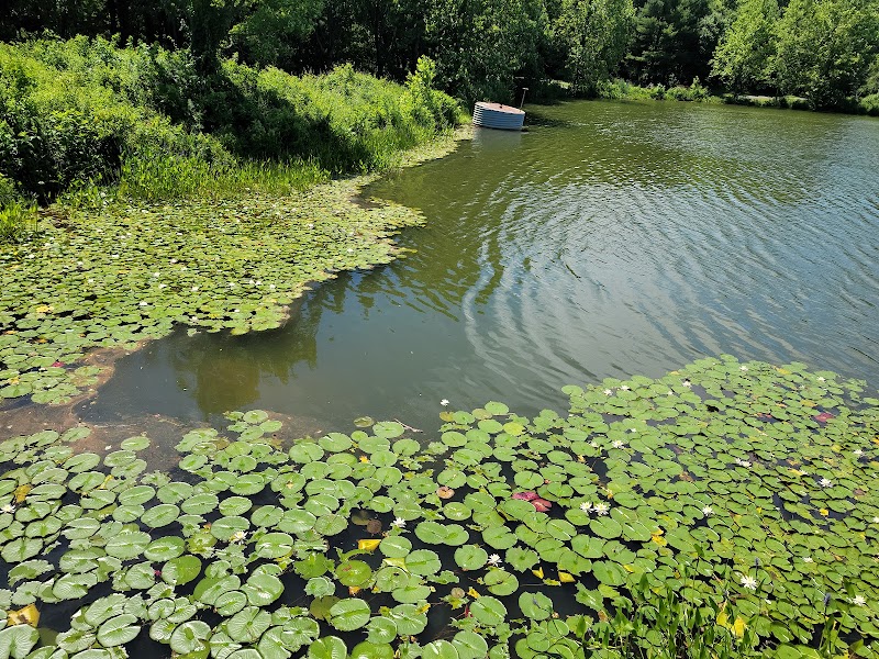 Lake Artemesia Natural Area - College Park, MD