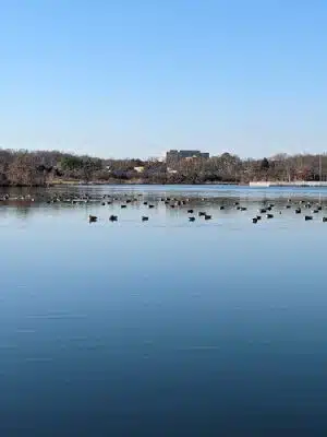 Lake Artemesia Natural Area