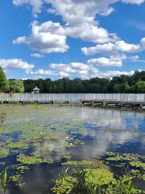 Lake Artemesia Natural Area