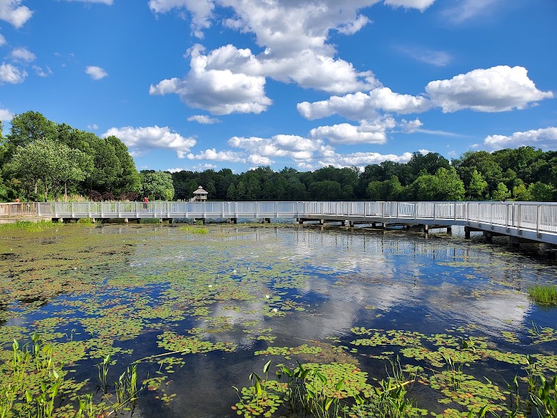 Lake Artemesia Natural Area - College Park, MD