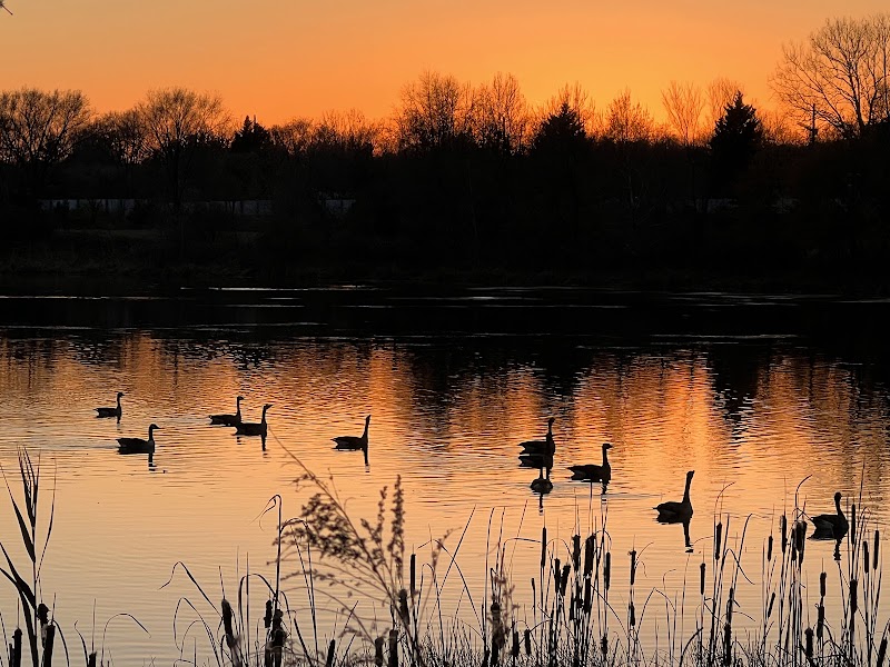 Lake Artemesia Natural Area - College Park, MD
