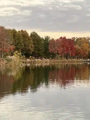 Lake Artemesia Natural Area