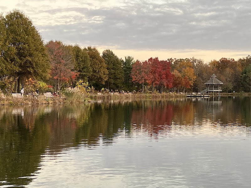 Lake Artemesia Natural Area - College Park, MD