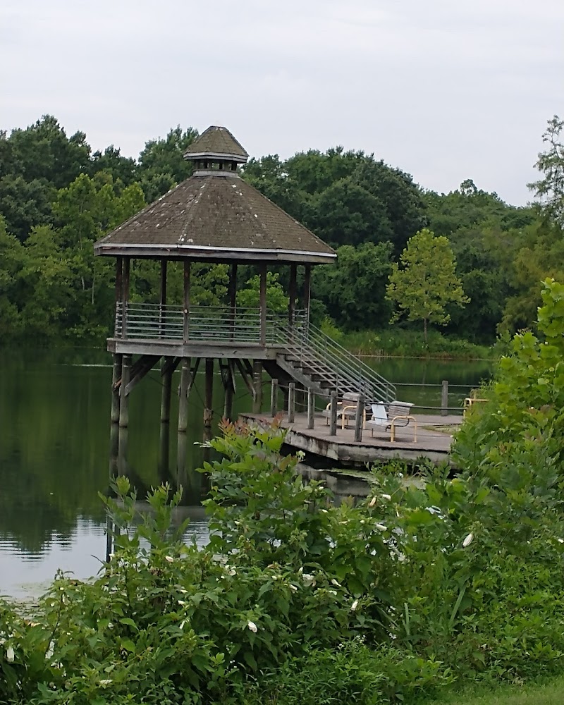 Lake Artemesia Natural Area - College Park, MD