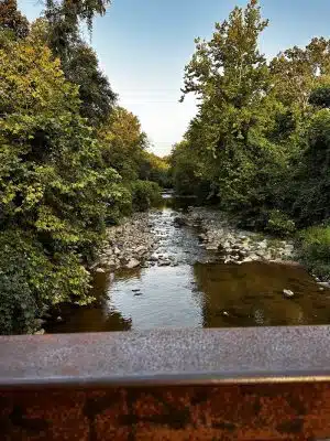 Lake Artemesia Natural Area