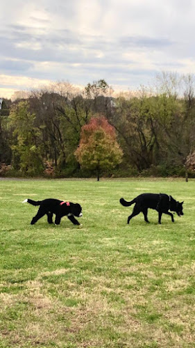 Anderson Farm Park cricket