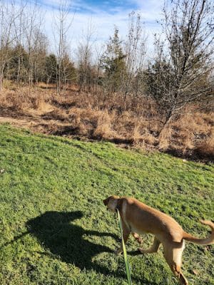 Heebner Park